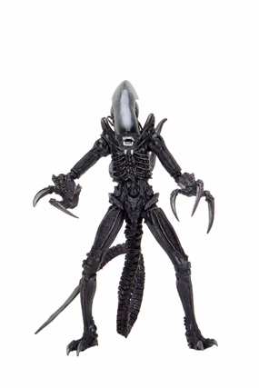 Enchanting Displays Alien vs. Predator Action Figures - Razor Claws (Movie Deco)
