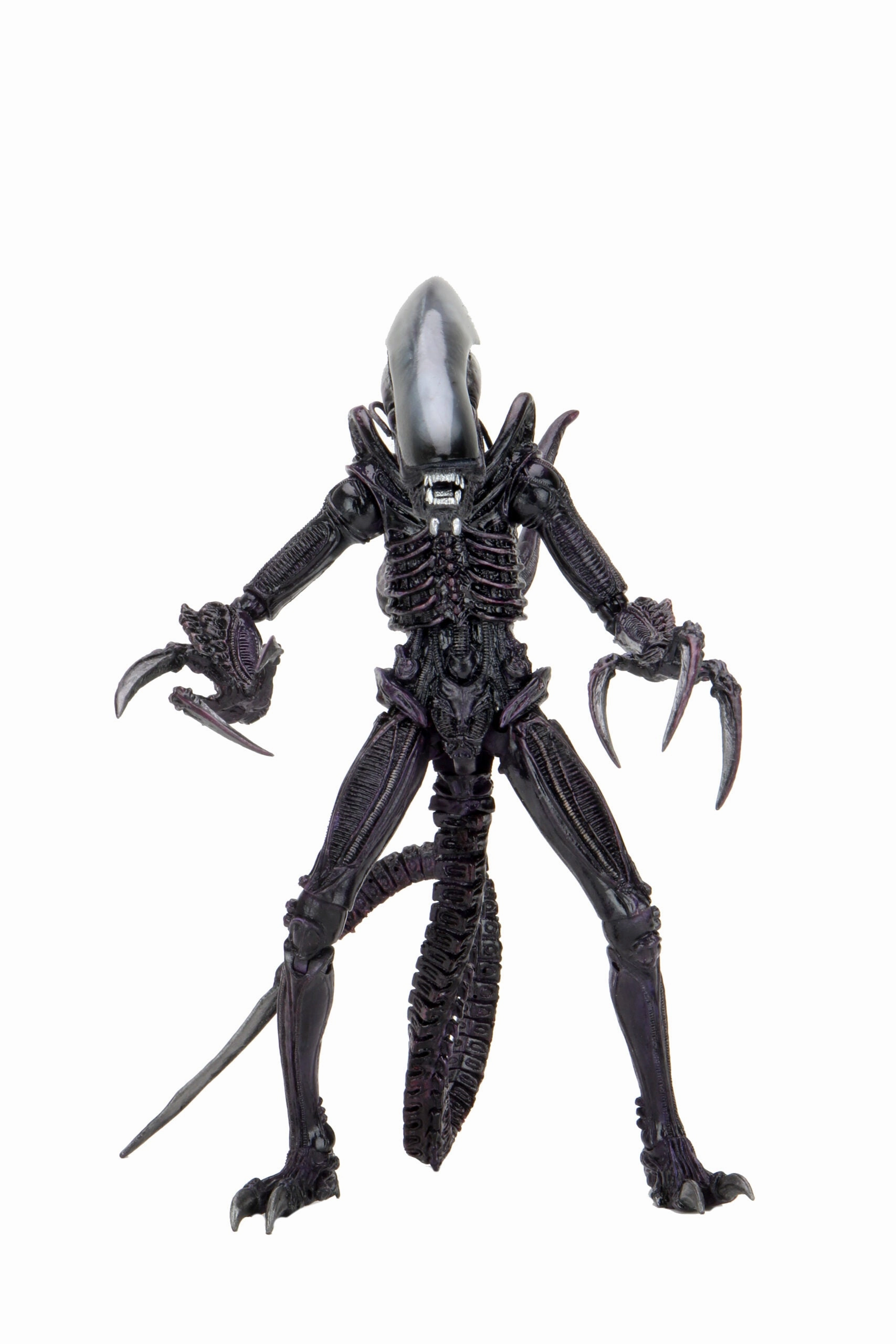 Enchanting Displays Alien vs. Predator Action Figures - Razor Claws (Movie Deco)