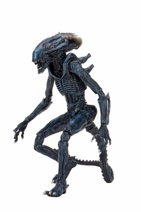 Alien vs. Predator Arachnoid Action Figure (Movie Deco) Wicked Accents