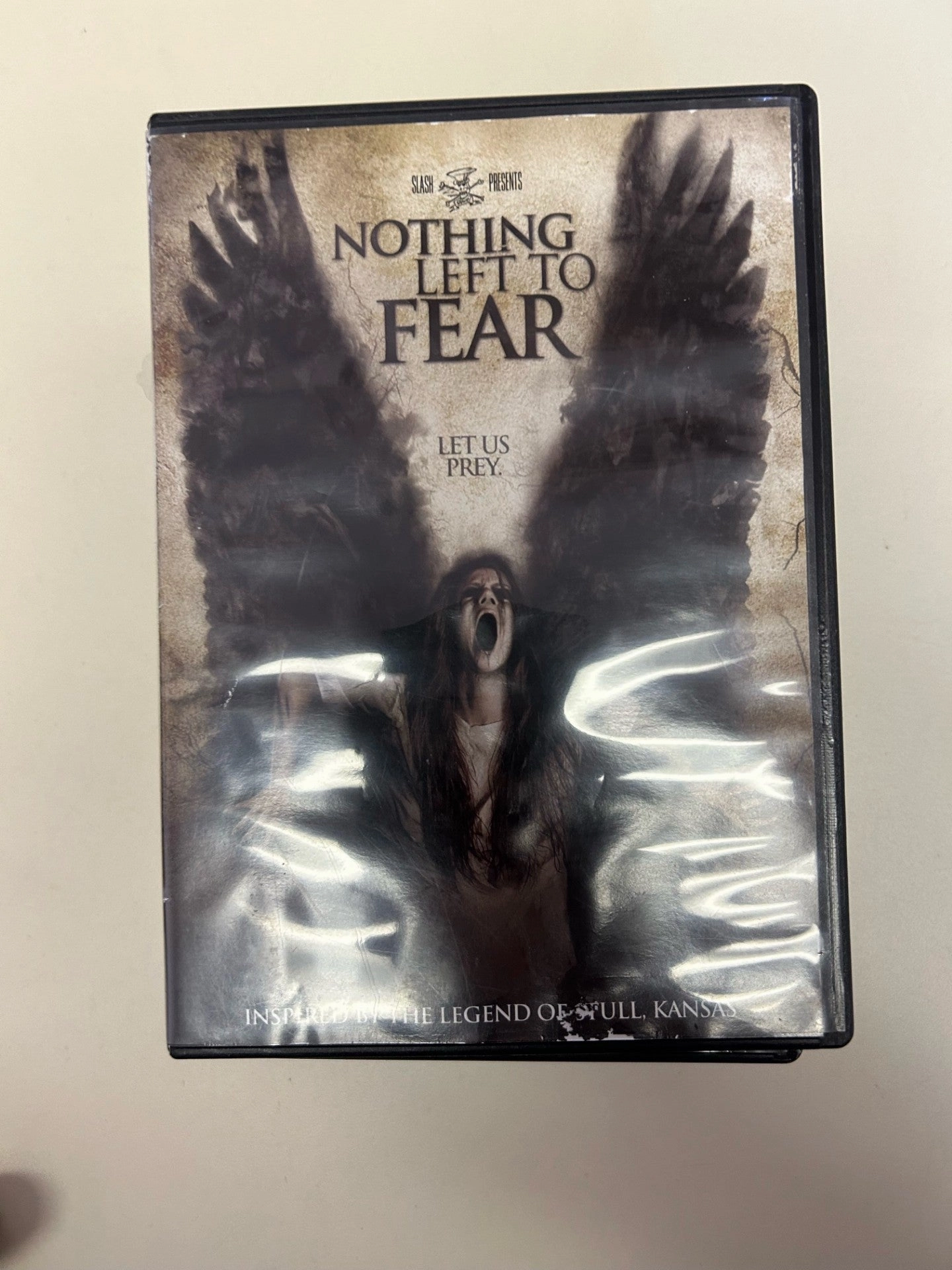 Ghostly Party Haunted Ornaments USED - Nothing Left To Fear DVD