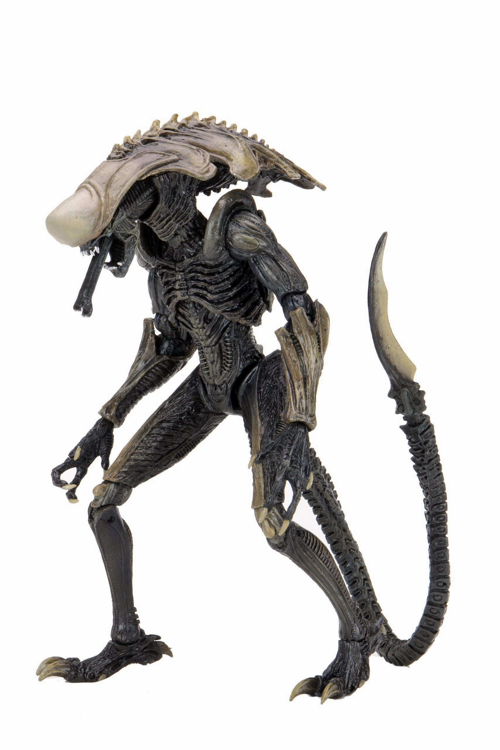 Alien vs. Predator Chrysalis (Movie Deco) Action Figure Mysterious Designs Playful Accessories