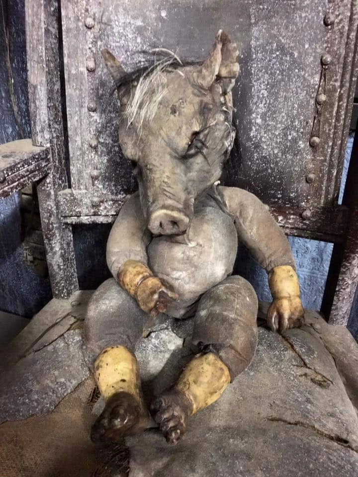 Ghoulish Party Eerie Props Forevermore Dolls Pig