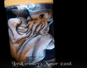 Scary Ornaments Charming Decorations Cthulhu Specimen - White