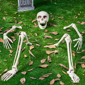 Fantastic Decor Haunted Decor Life Size Groundbreaker Skeleton Stakes