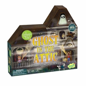 Ghost in the Attic Continental Drift Recycling Project