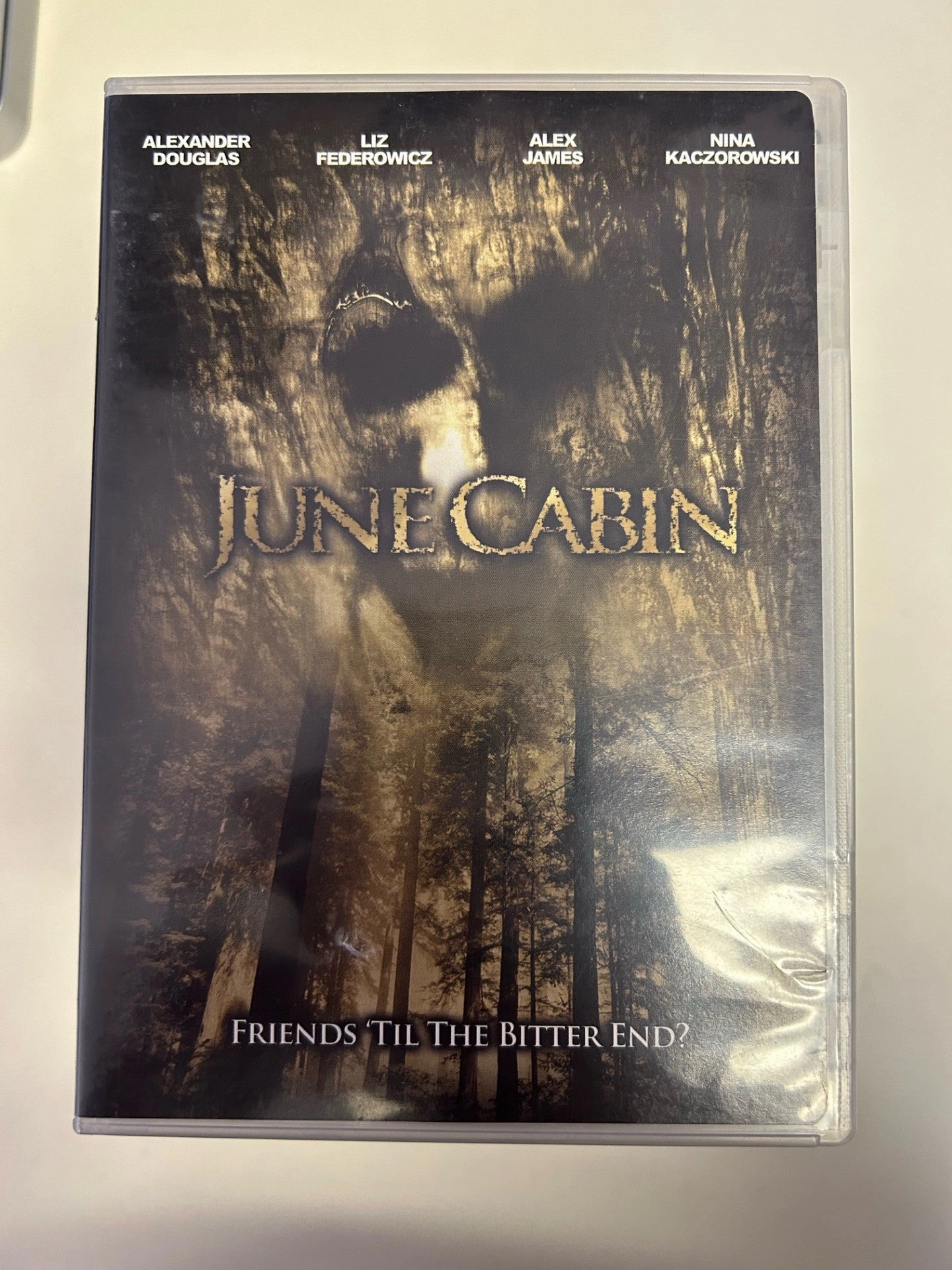 USED - June Cabin DVD Playful Designs