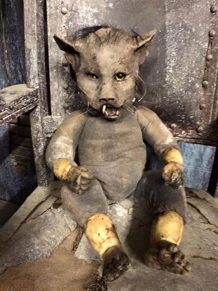 Haunted Lights Forevermore Dolls Kitty