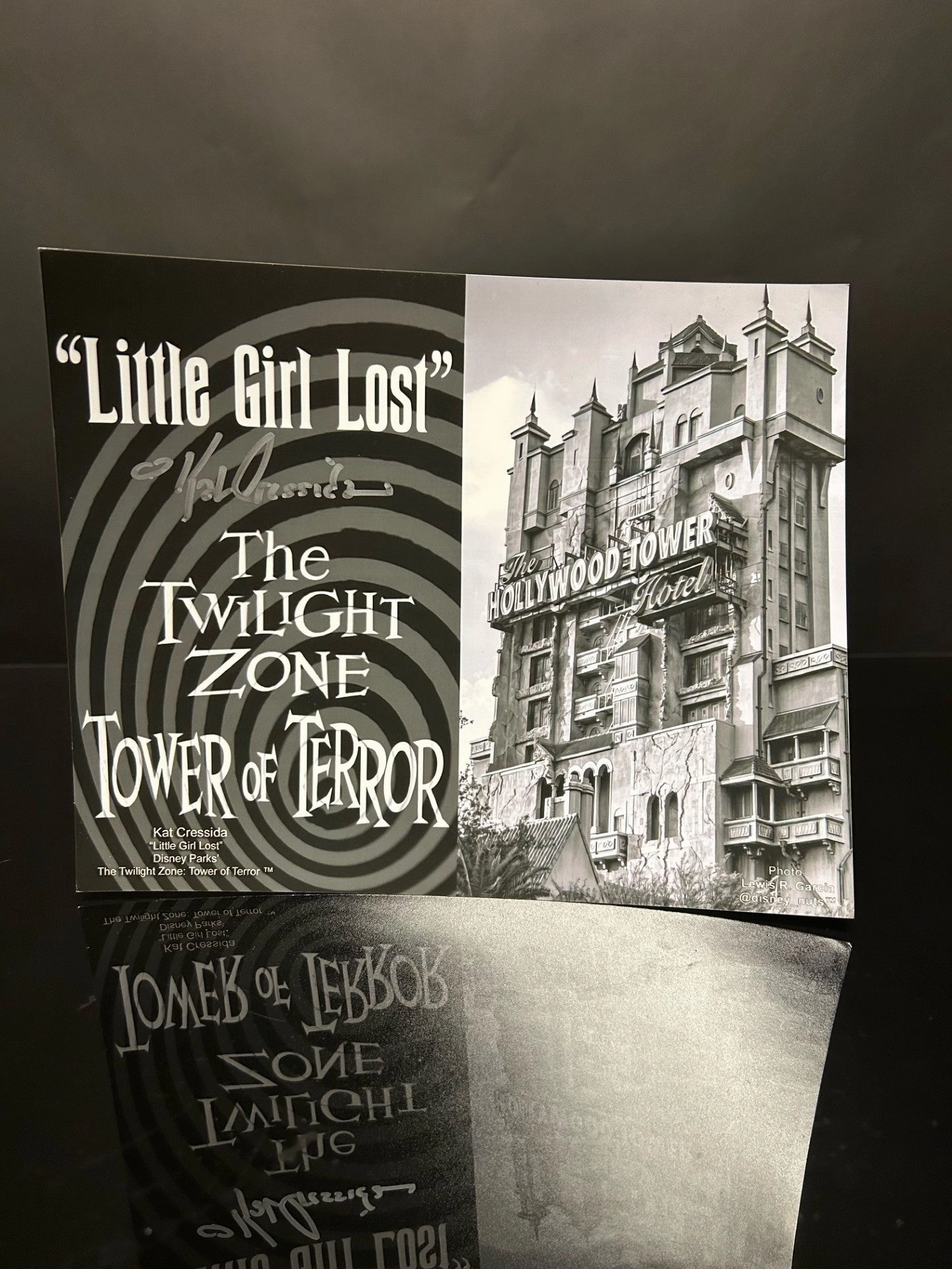 Whimsical Accents Scary Ornaments Kat Cressida Signed Tower Of Terror 8x10