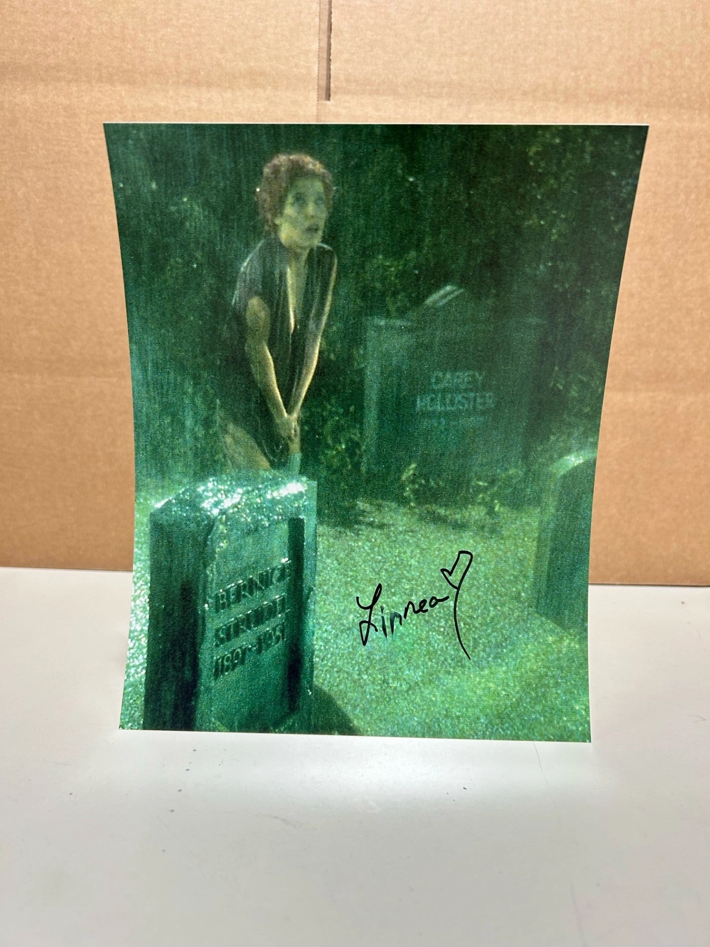 Charming Decorations Fantastic Displays Linnea Quigley - Return Of The Living Dead 8x10 Autograph