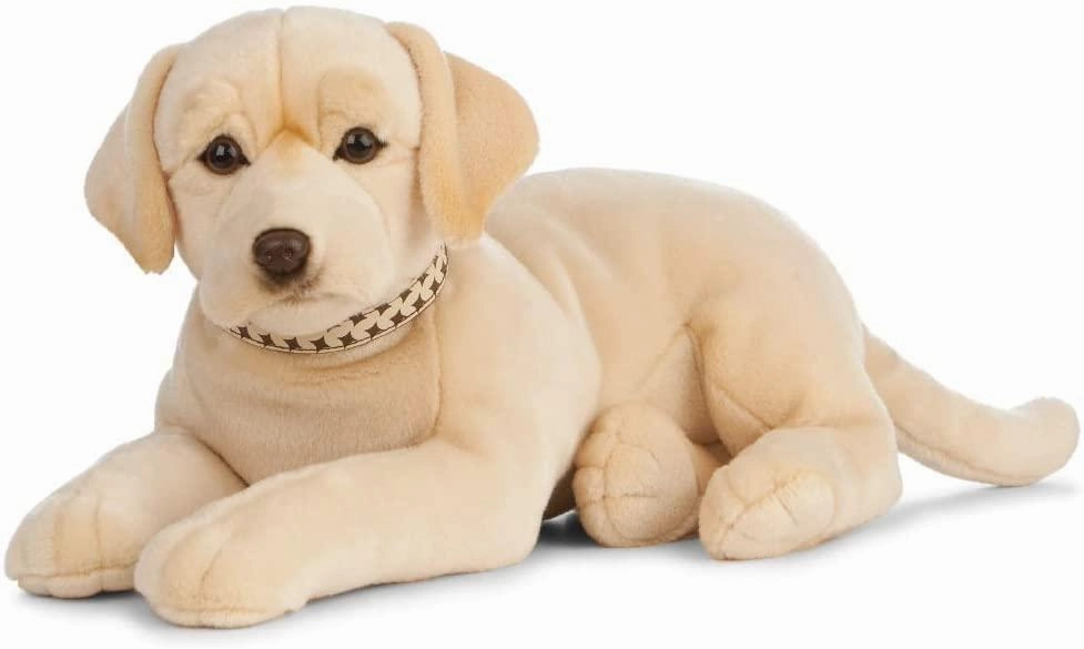 LIVING NATURE AN482 Giant Golden Labrador 60cm Soft Toy Box Designer Snapshot Worker
