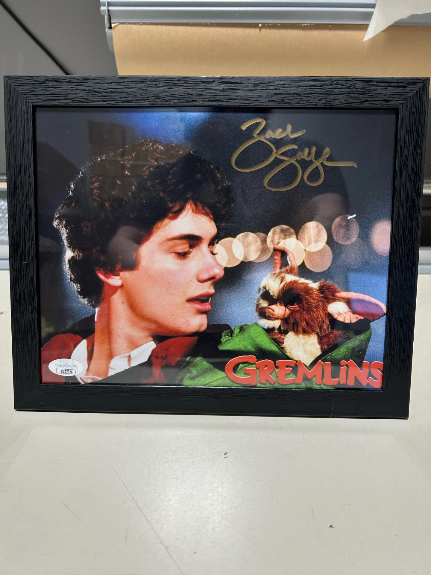 Playful Crafts Mysterious Designs Zach Galligan Autographed Gremlins 8x10 Photo Framed