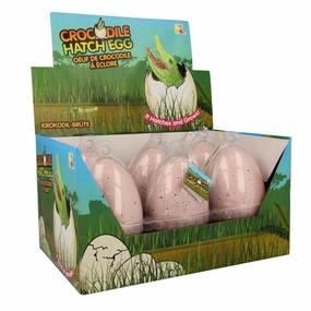 NURCHUMS Hatching Egg, Hatch and Grow Pet Crocodile - Large 11cm Normal Affair Industry Norm