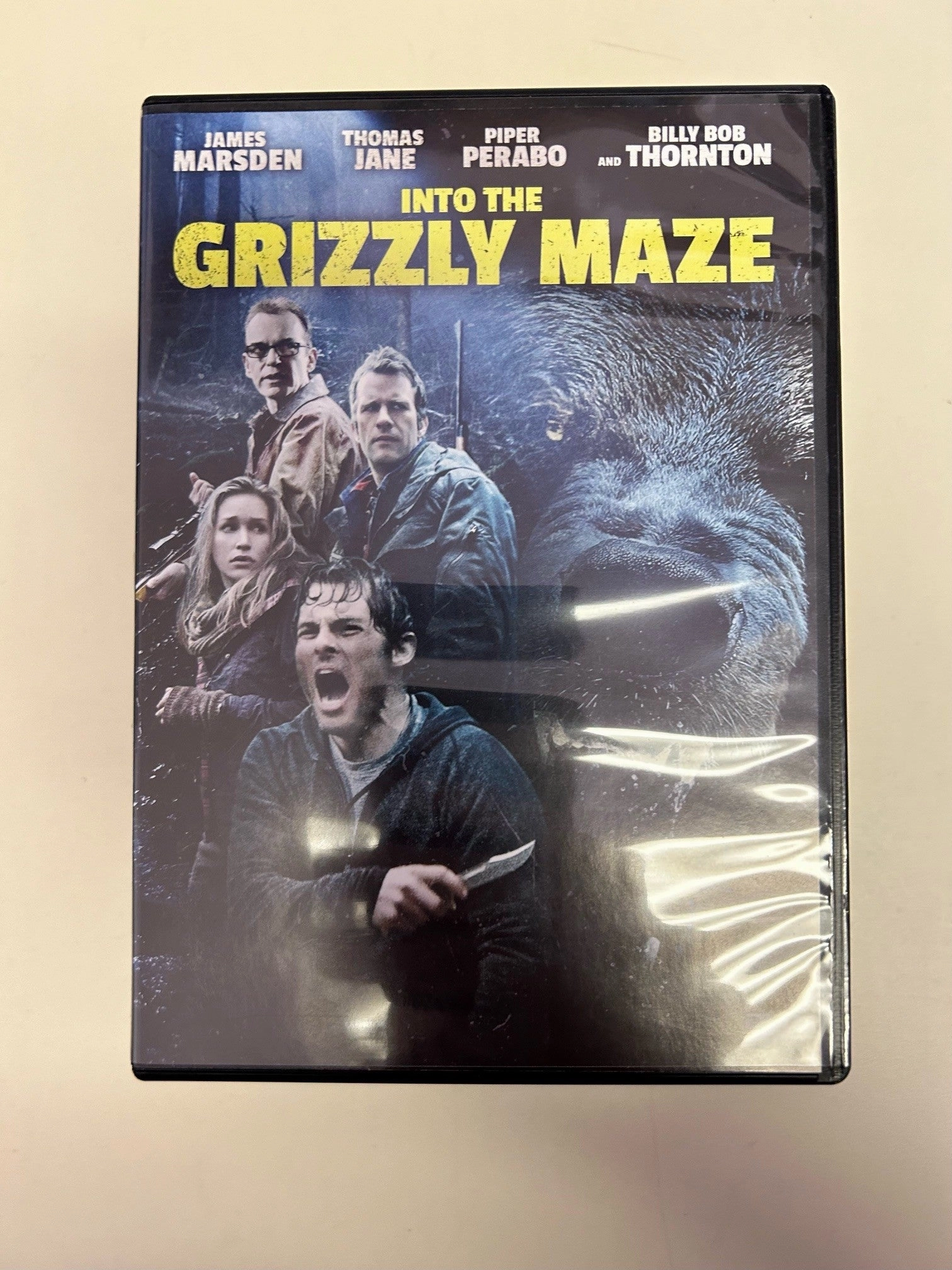 USED - Into The Grizzly Maze DVD Fantastic Ornaments