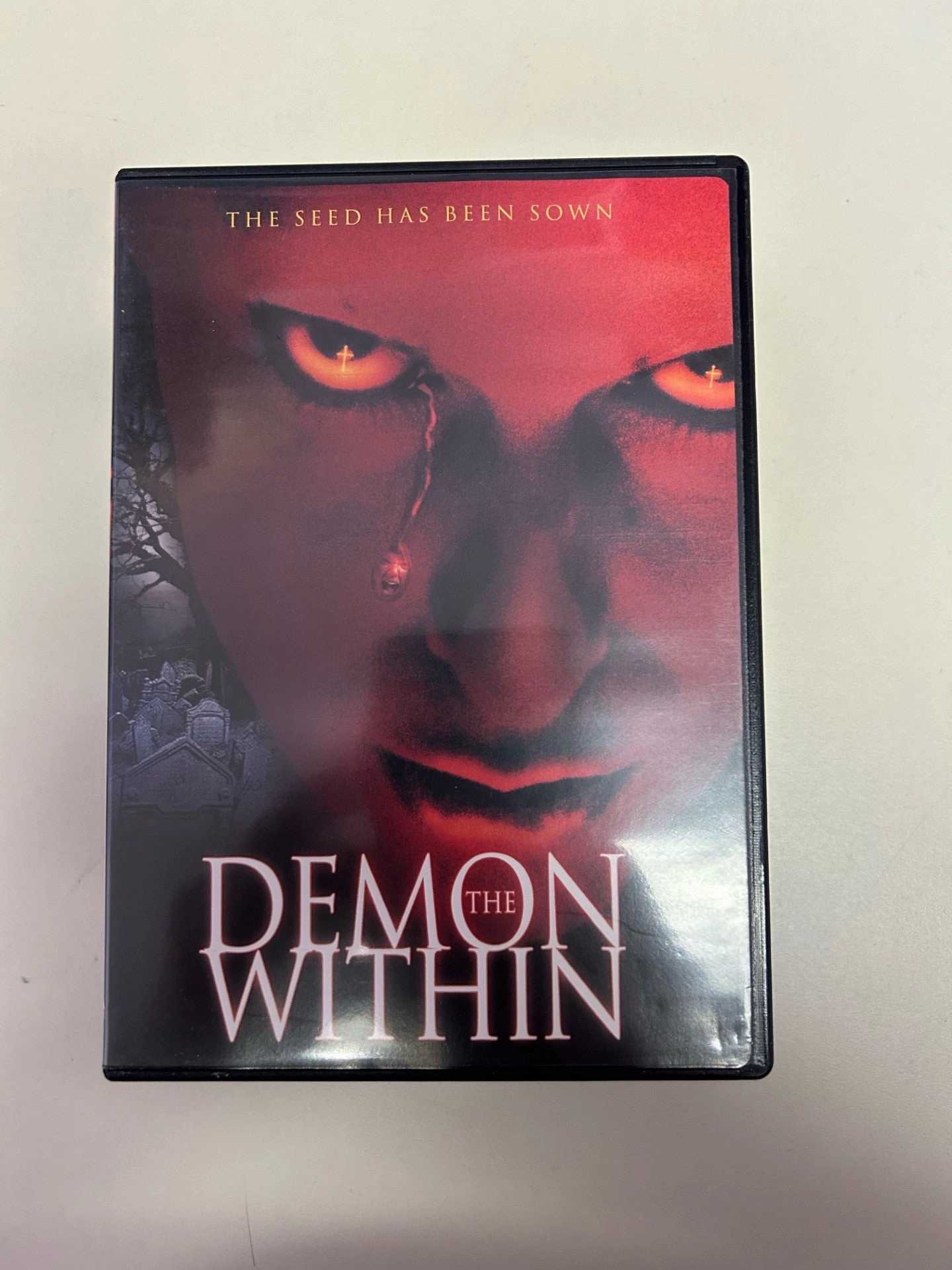 Eerie Figures Creepy Decor USED- The Demon Within DVD