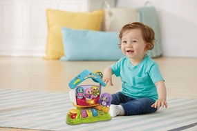 VTech 522403 Singing Bird House Retired Design