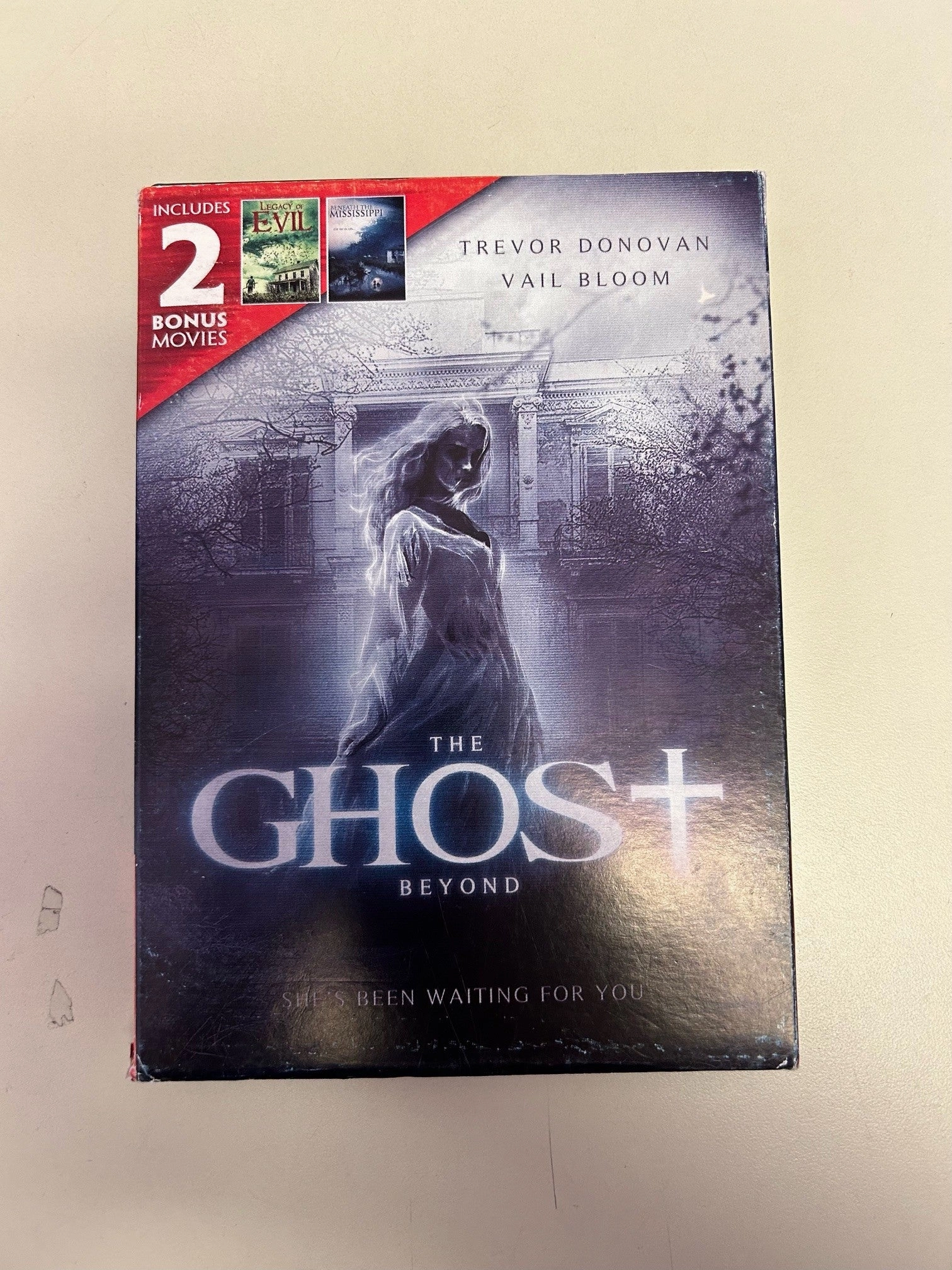 USED - The Ghost Beyond DVD Spooky Decorations Playful Ornaments