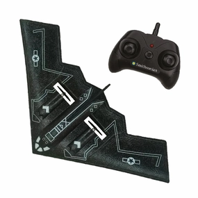 Stealth Aircraft Robot Friend