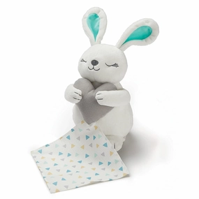 Chest Worker Summer Infant Little Heartbeats Soother Bunny