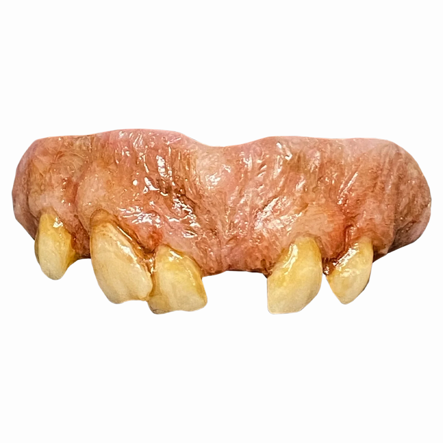 The Texas Chainsaw Massacre 2 - Leatherface Teeth Ghoulish Accessories