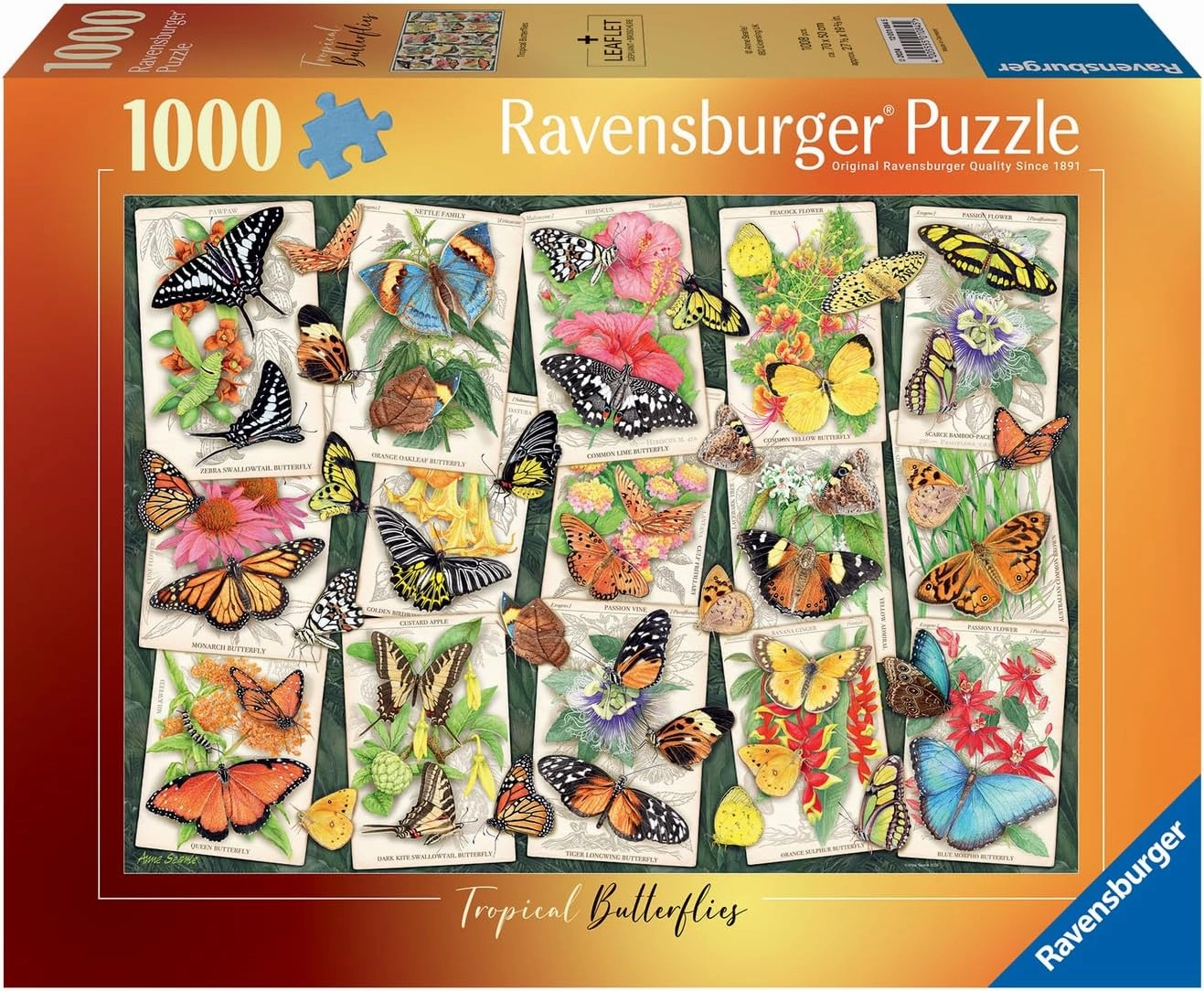 Tropical Butterflies 1000pc Puzzle Cooperative Play