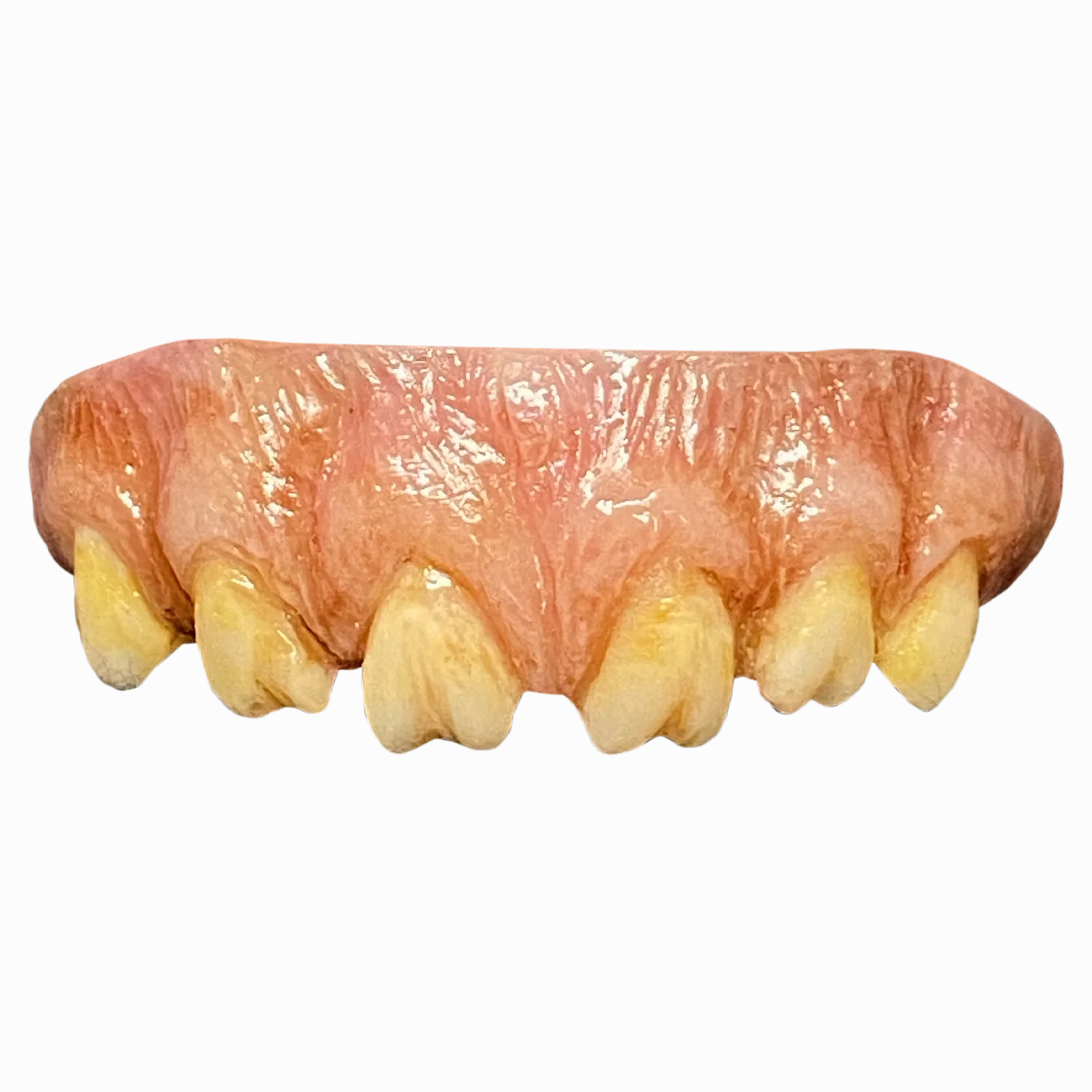 Charming Supplies Eerie Treats The Texas Chainsaw Massacre (1974) - Leatherface Teeth